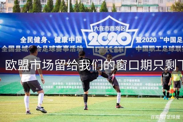 欧盟市场留给我们的窗口期只剩下16个月。